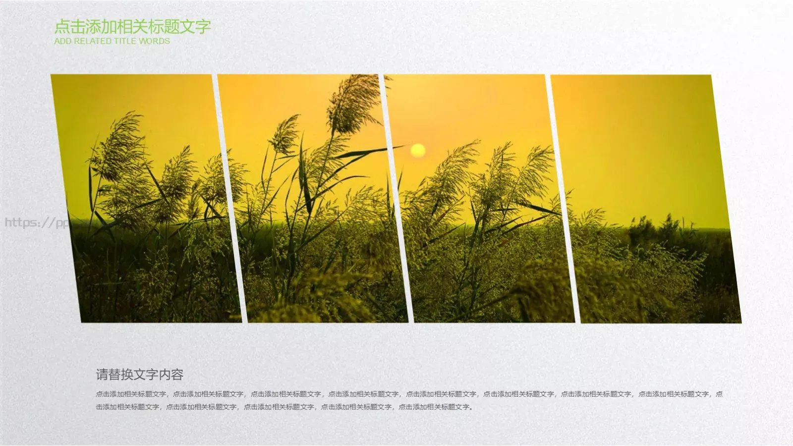 爱护环境 从我做起PPT模板 第 16 页预览图