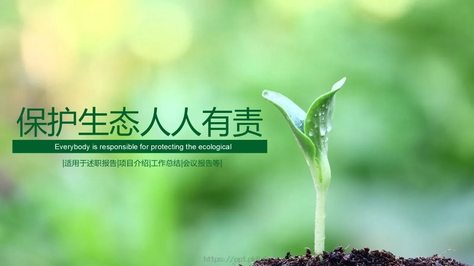 项目介绍PPT模板 第 1 页缩略图