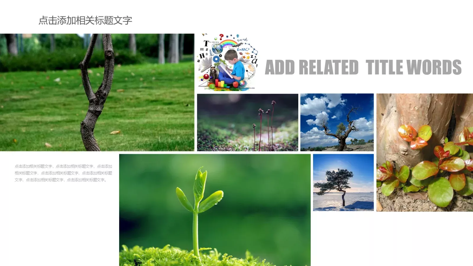项目介绍PPT模板 第 6 页预览图