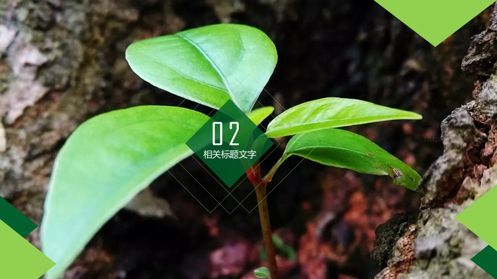 项目介绍PPT模板 第 9 页预览图
