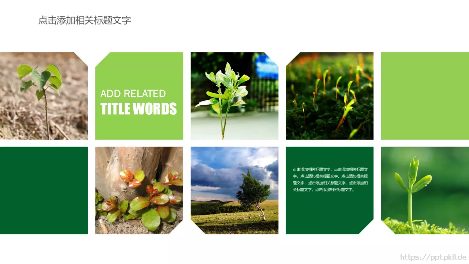 项目介绍PPT模板 第 13 页预览图