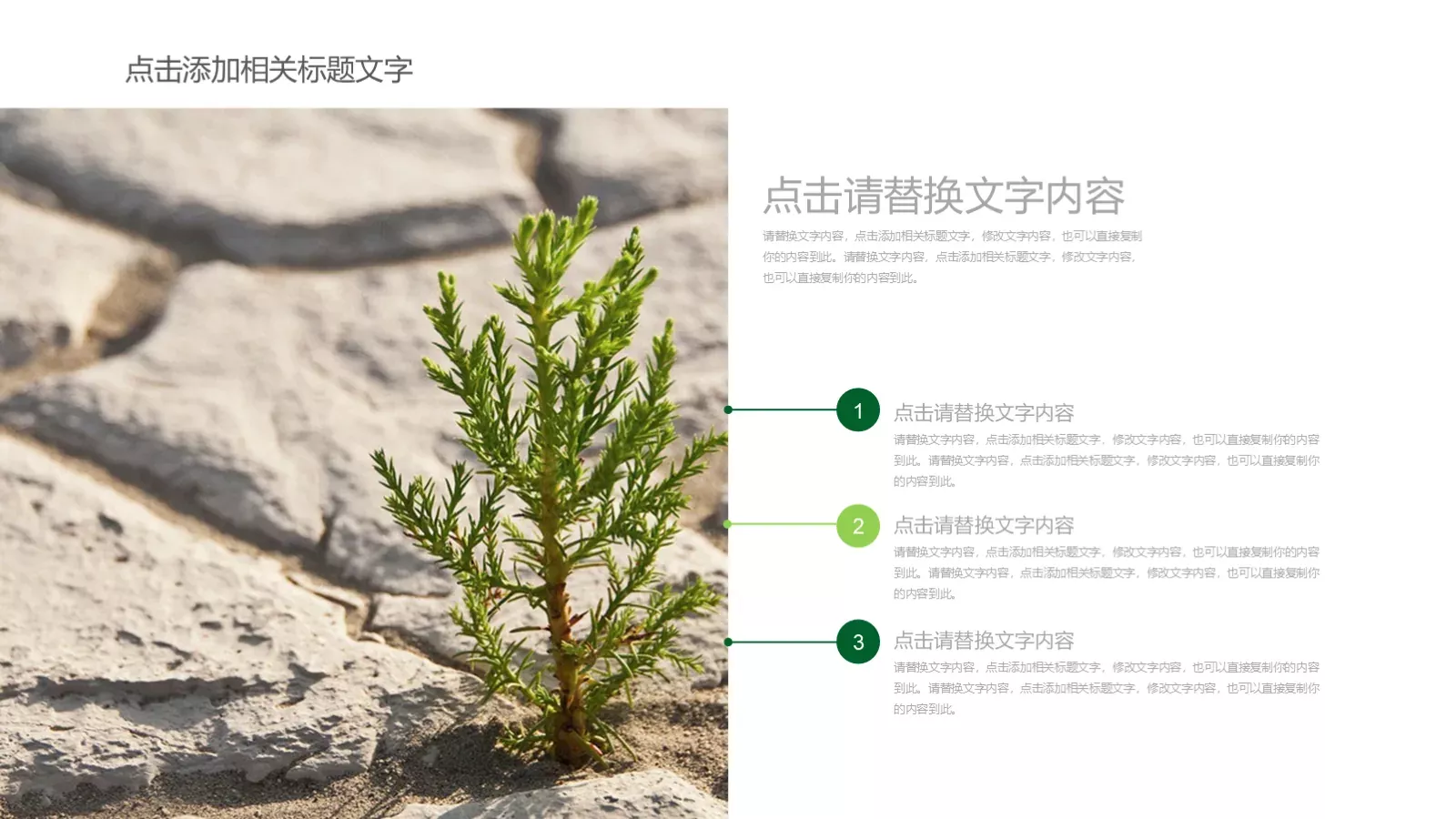 项目介绍PPT模板 第 19 页预览图