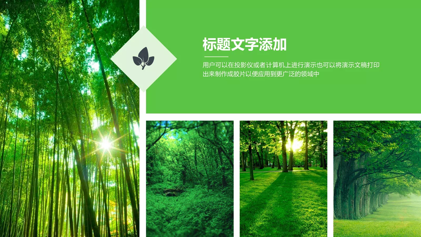 旅游介绍PPT模板 第 6 页预览图