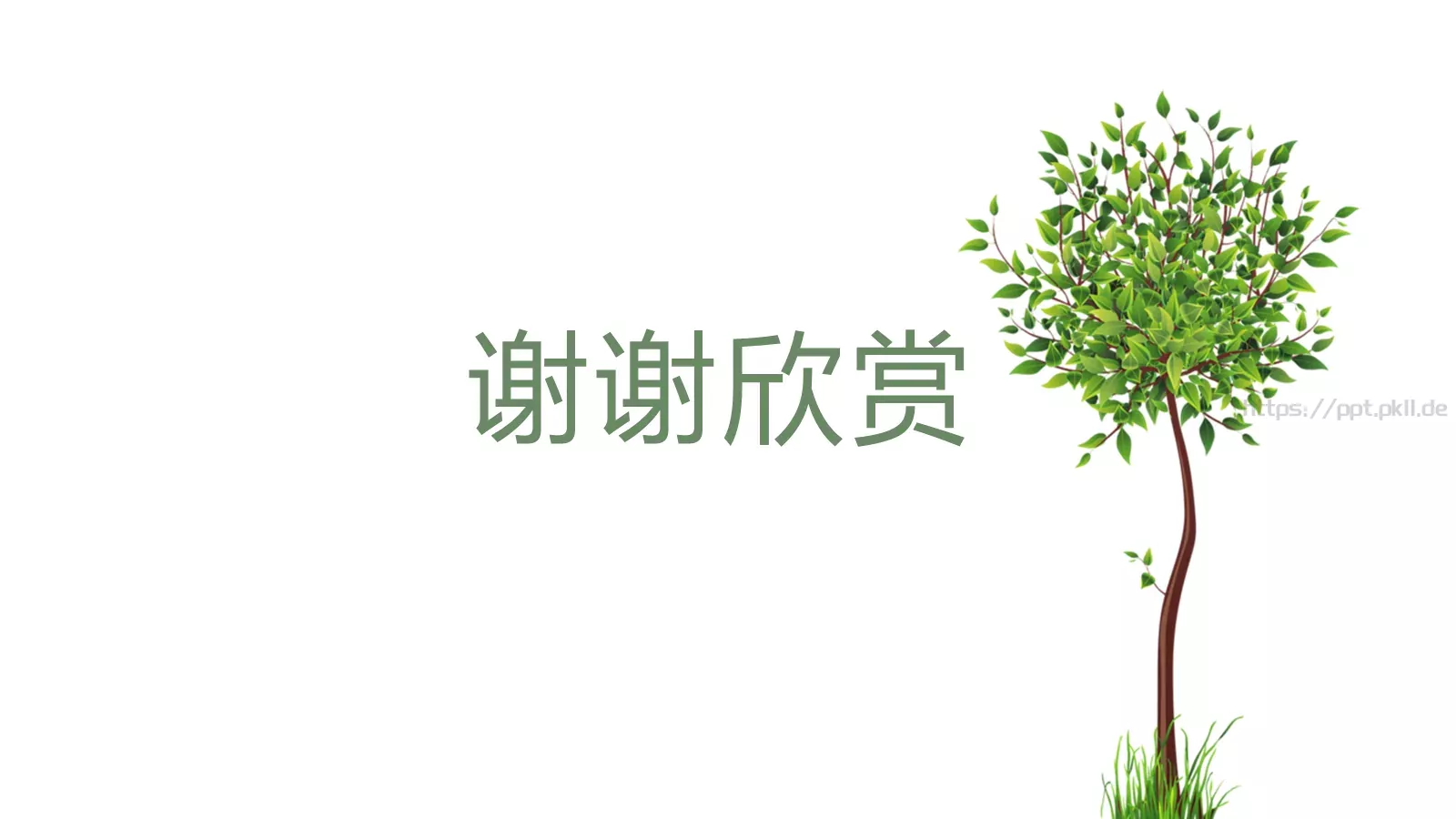 教育说课PPT模板 第 25 页预览图