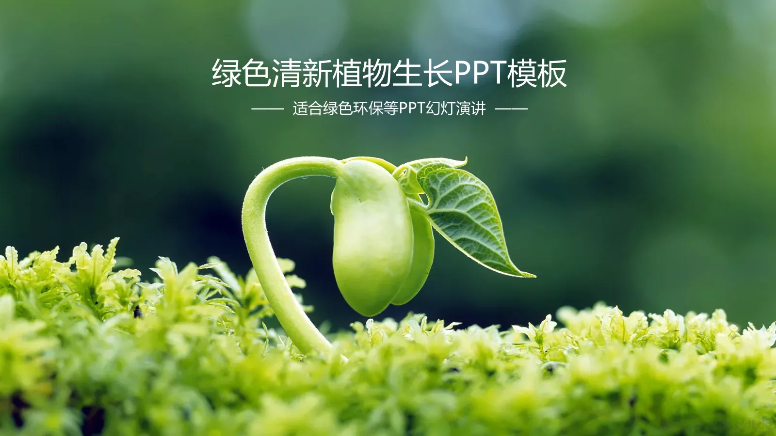 环境保护绿色环保主题PPT模板 封面图