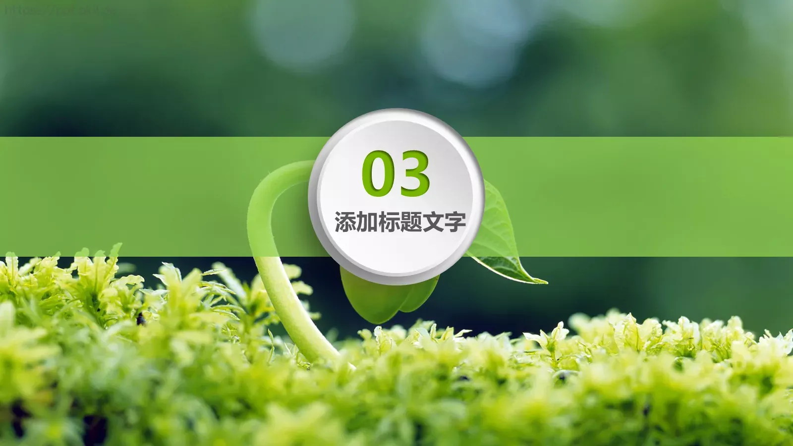 环境保护绿色环保主题PPT模板 第 15 页预览图
