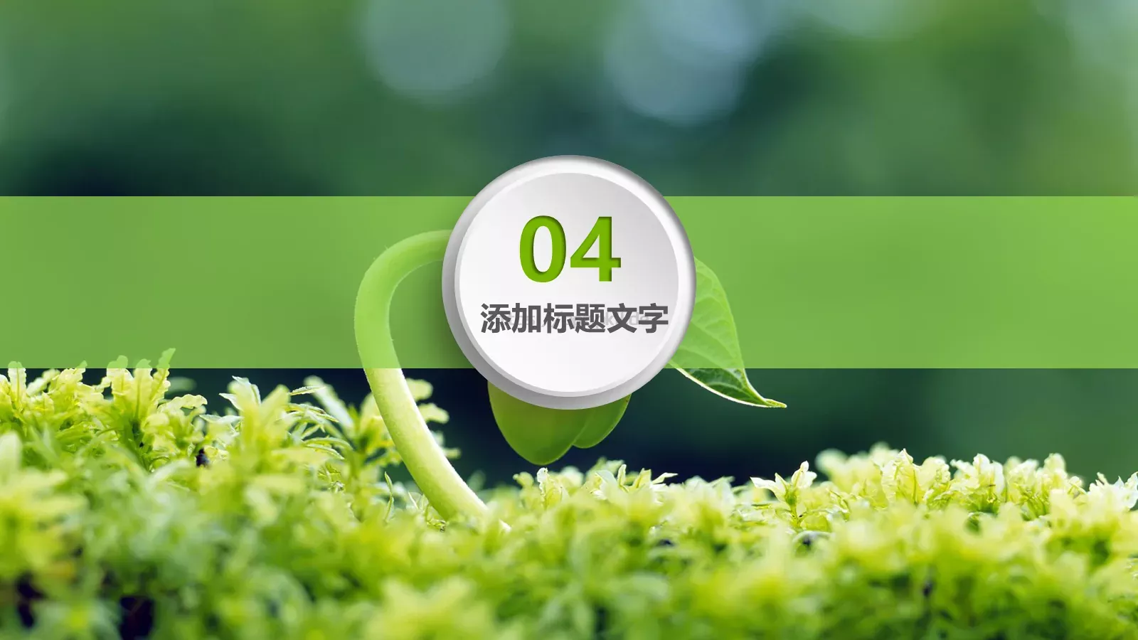 环境保护绿色环保主题PPT模板 第 20 页预览图
