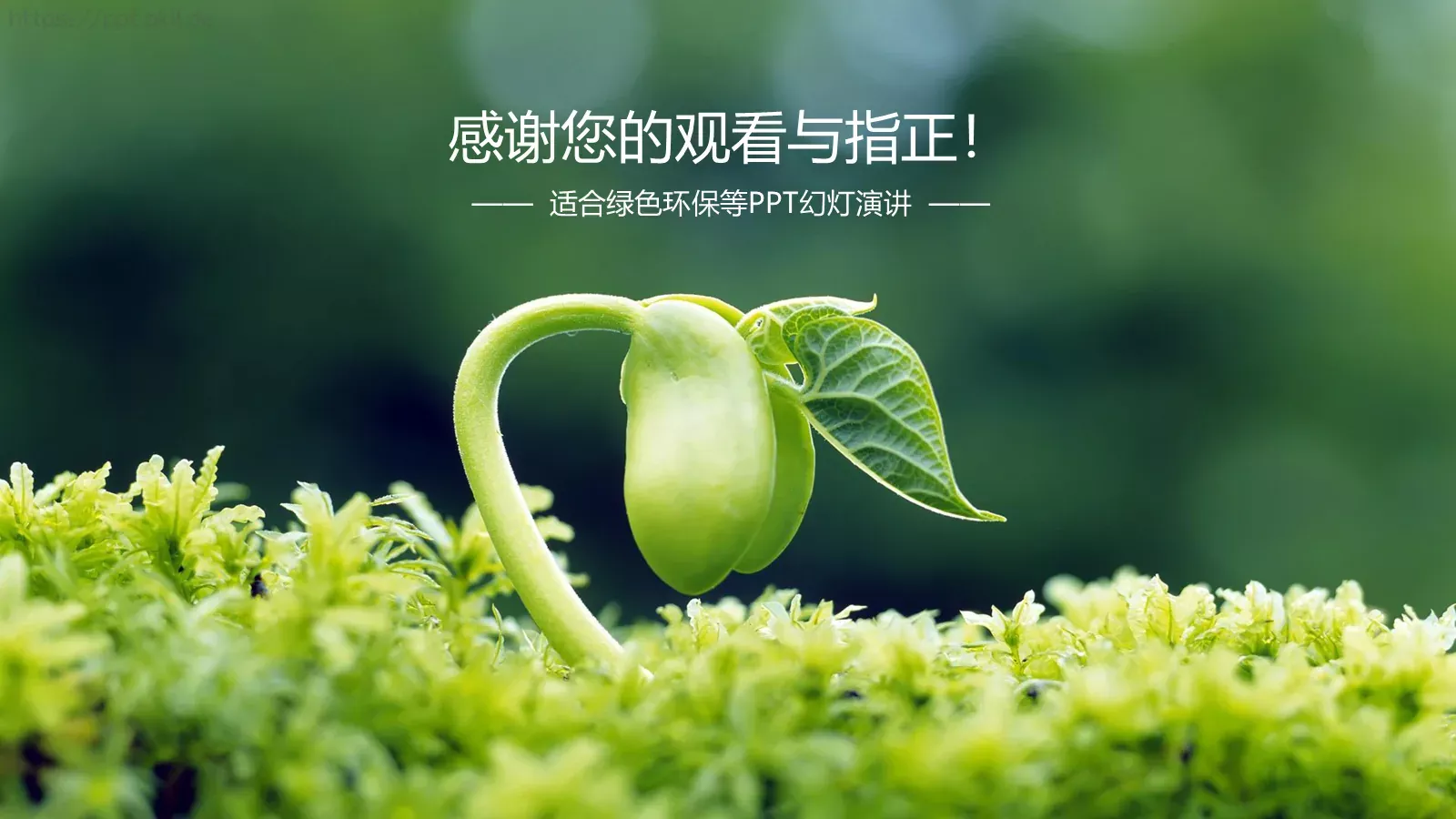 环境保护绿色环保主题PPT模板 第 25 页预览图