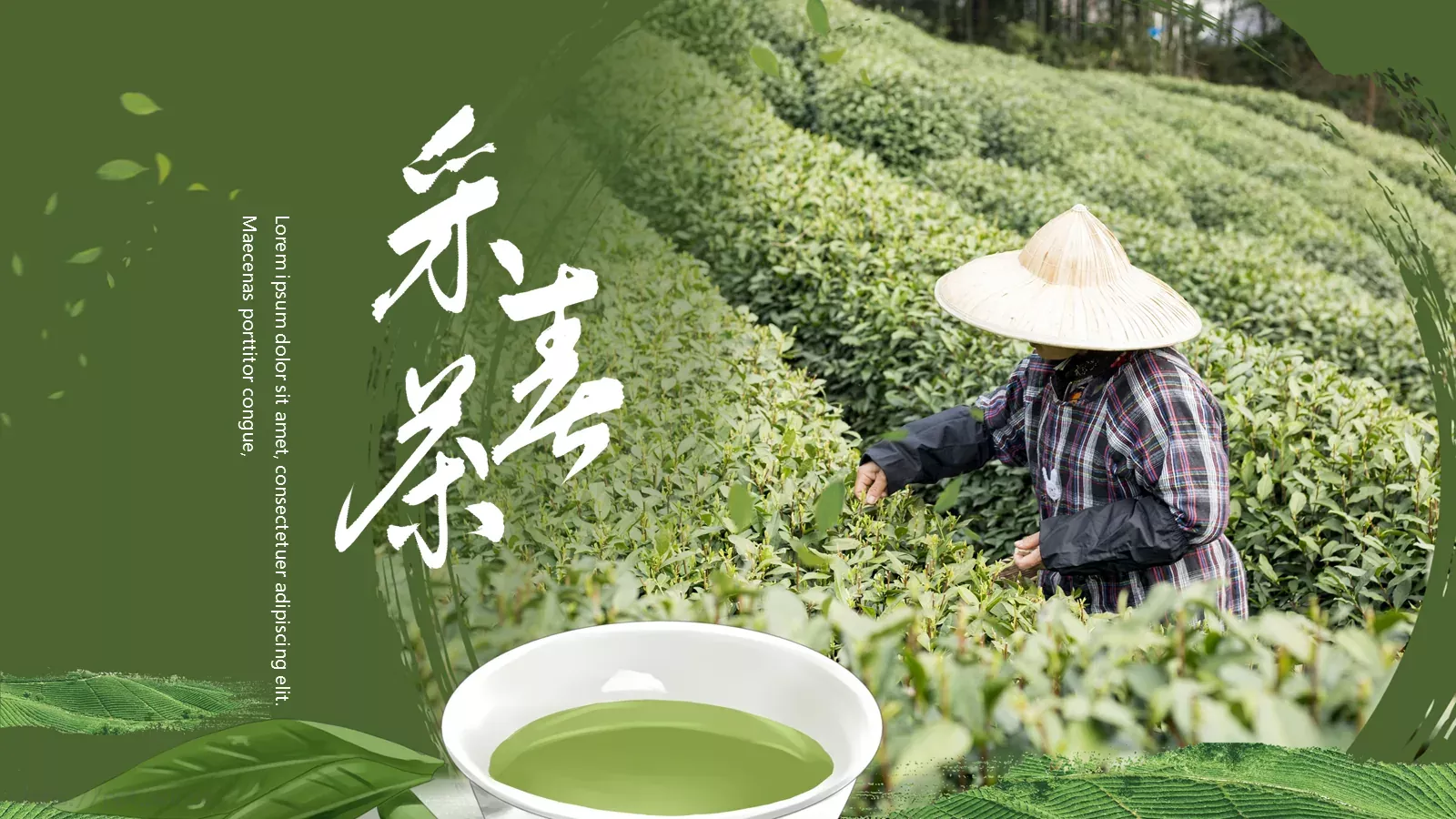绿色简约春茶画册展示PPT模板 第 1 页缩略图