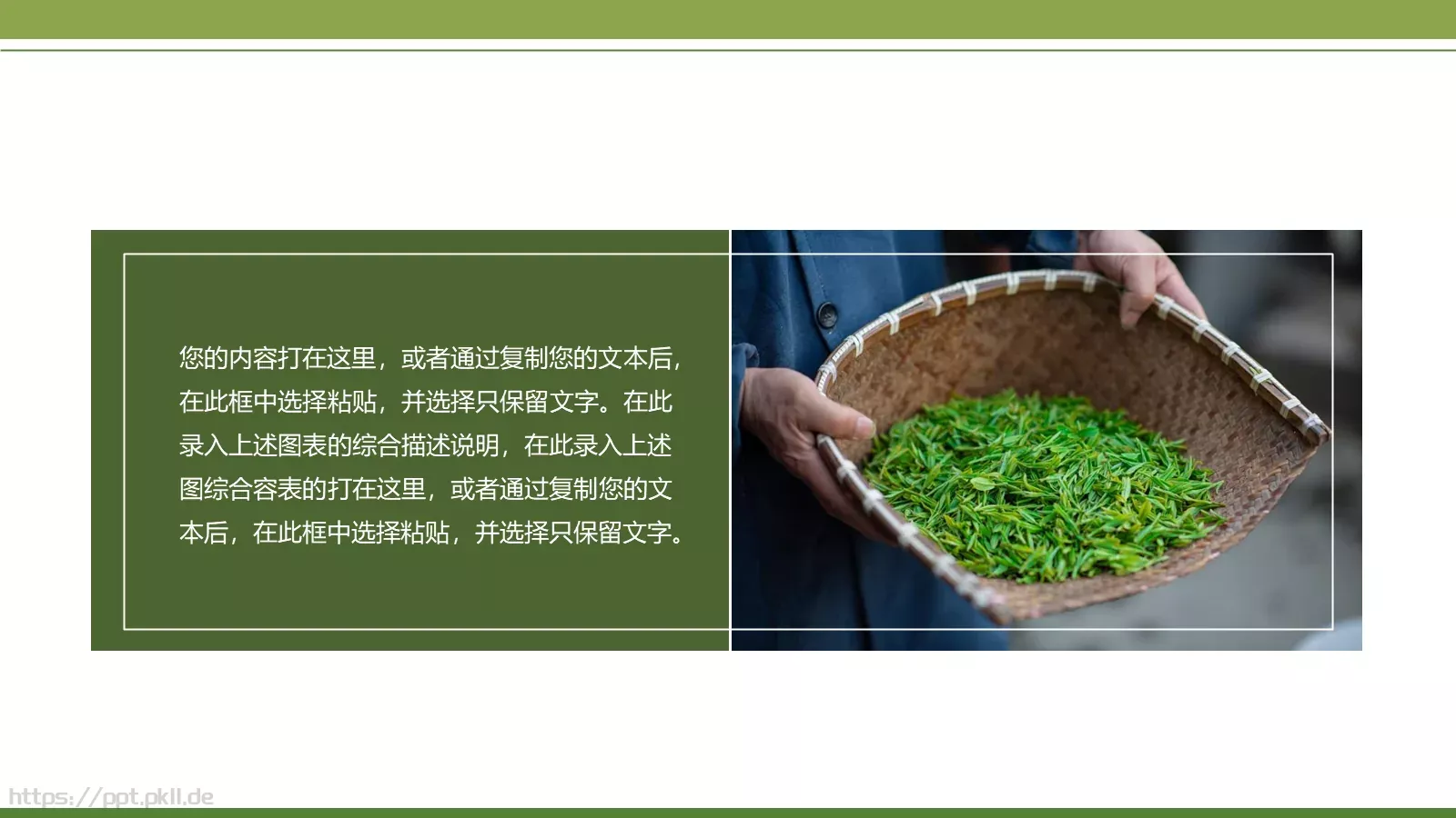 绿色简约春茶画册展示PPT模板 第 6 页预览图