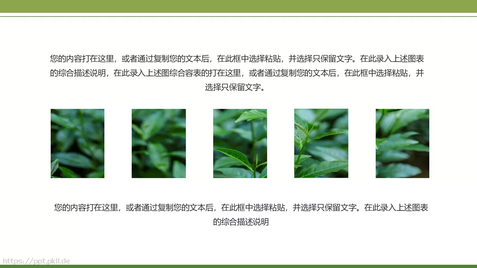 绿色简约春茶画册展示PPT模板 第 4 页缩略图