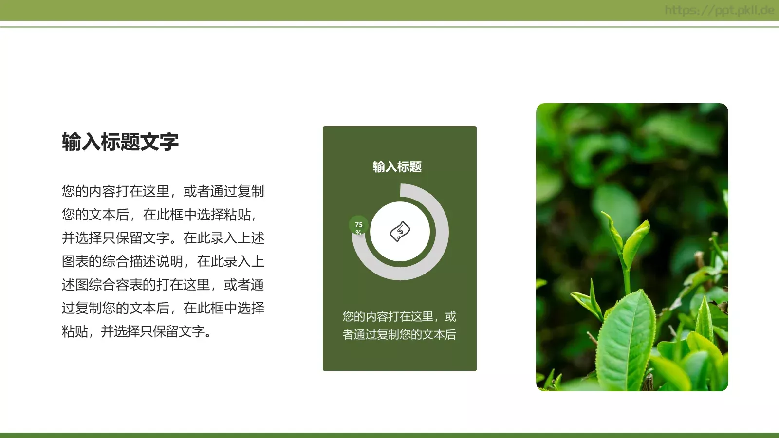 绿色简约春茶画册展示PPT模板 第 8 页预览图