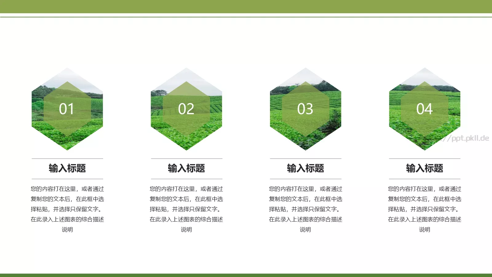 绿色简约春茶画册展示PPT模板 第 9 页预览图