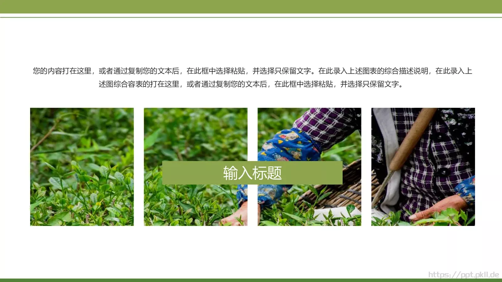 绿色简约春茶画册展示PPT模板 第 10 页预览图