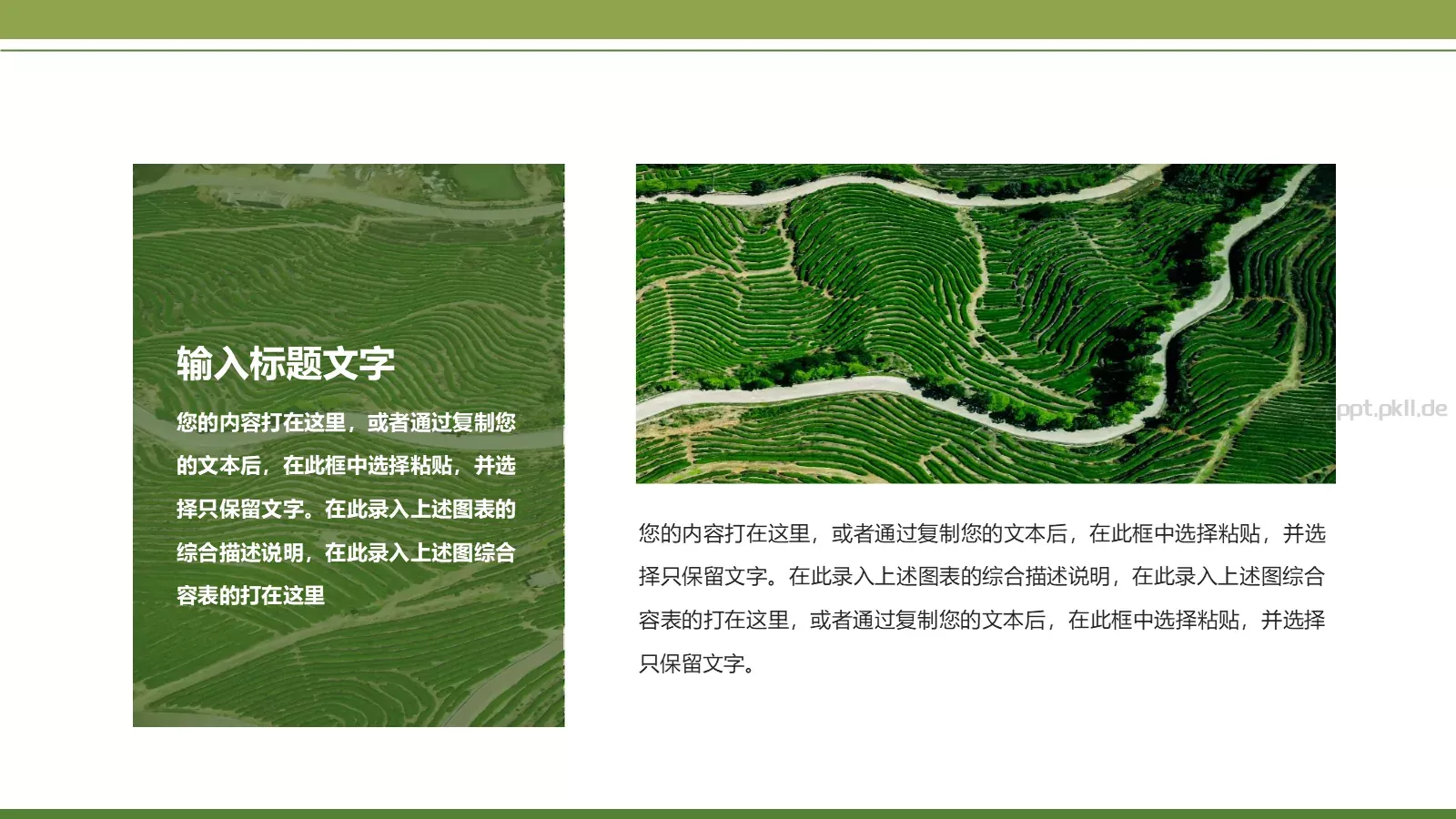 绿色简约春茶画册展示PPT模板 第 14 页预览图