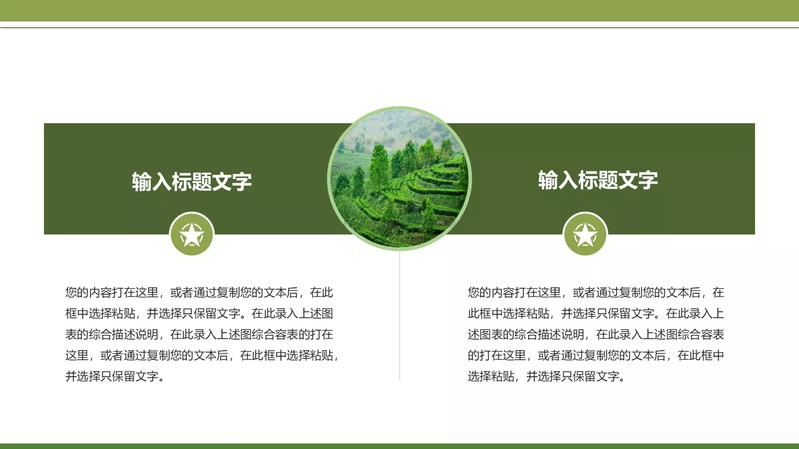 绿色简约春茶画册展示PPT模板 第 13 页预览图