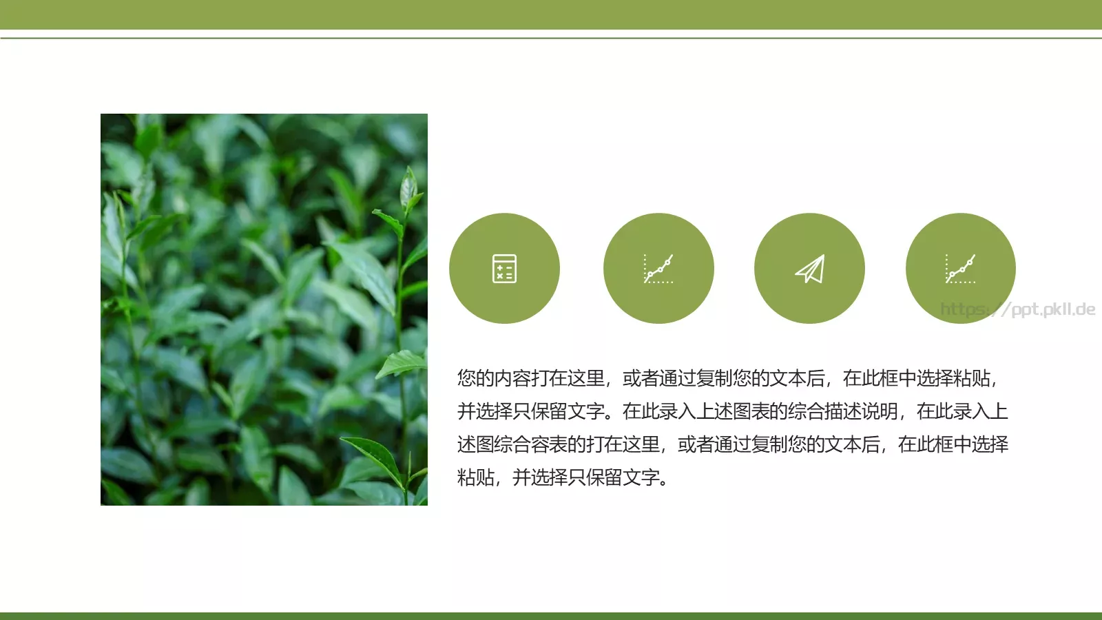 绿色简约春茶画册展示PPT模板 第 19 页预览图