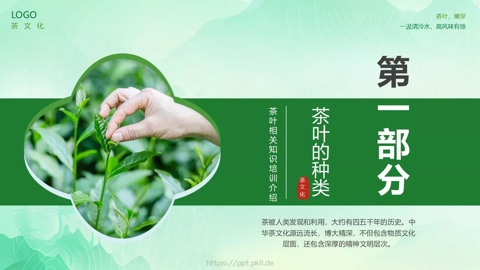 茶叶的种类培训课件PPT模板 第 3 页缩略图