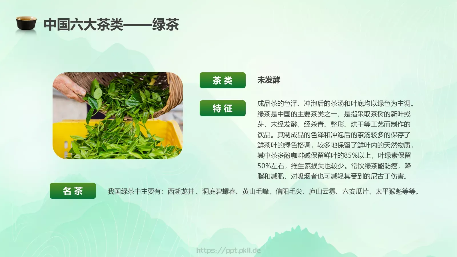 茶叶的种类培训课件PPT模板 第 5 页预览图