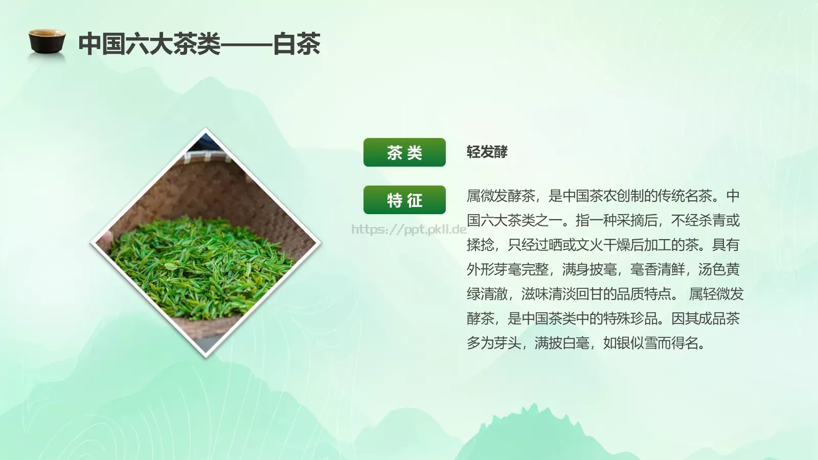 茶叶的种类培训课件PPT模板 第 9 页预览图