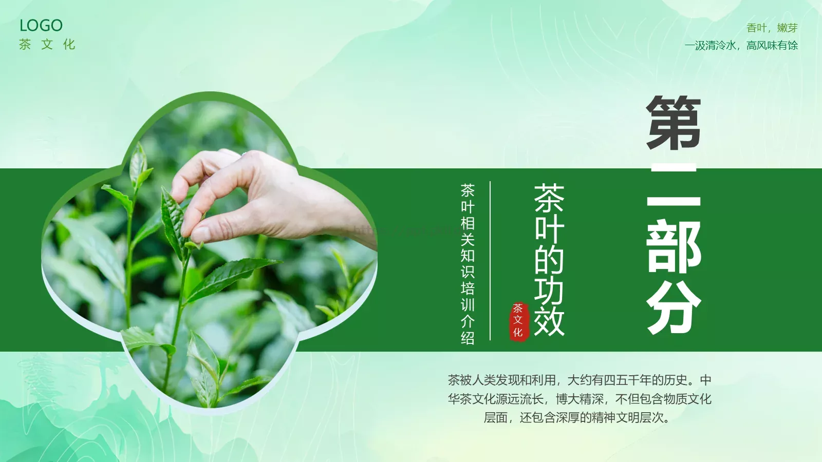茶叶的种类培训课件PPT模板 第 10 页预览图