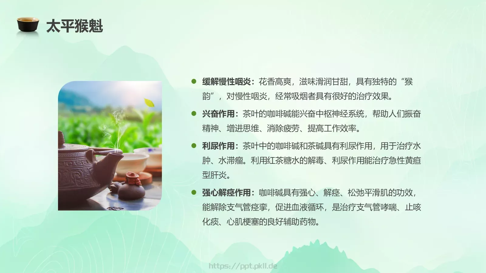 茶叶的种类培训课件PPT模板 第 14 页预览图
