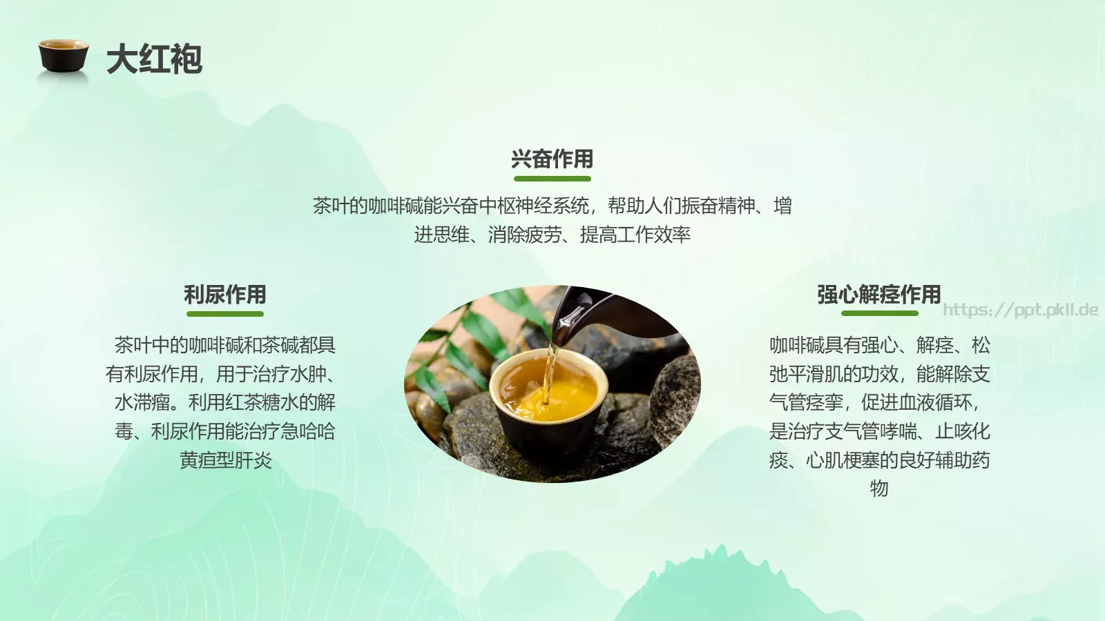 茶叶的种类培训课件PPT模板 第 13 页预览图