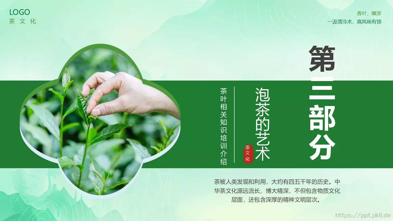 茶叶的种类培训课件PPT模板 第 19 页预览图