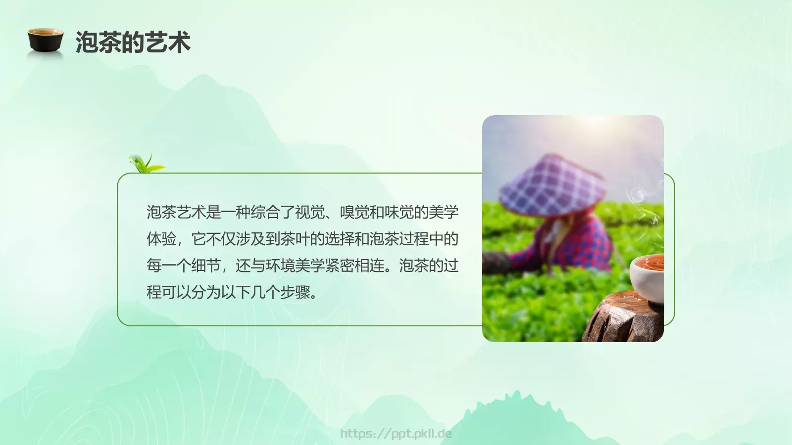 茶叶的种类培训课件PPT模板 第 20 页预览图