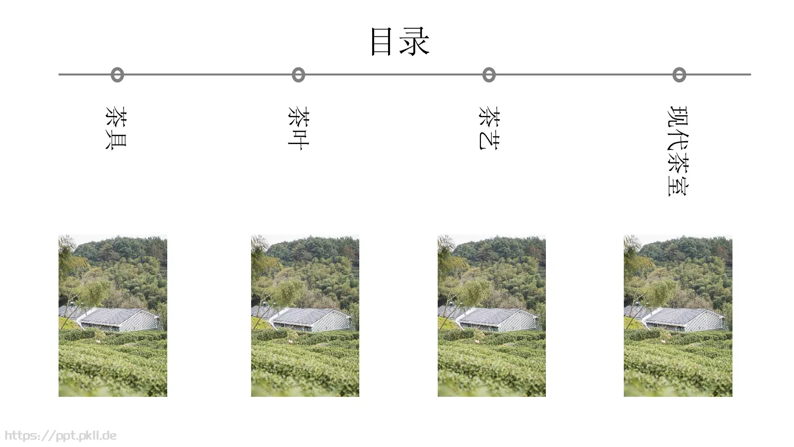 茶文化产品介绍画册PPT模板 第 2 页缩略图