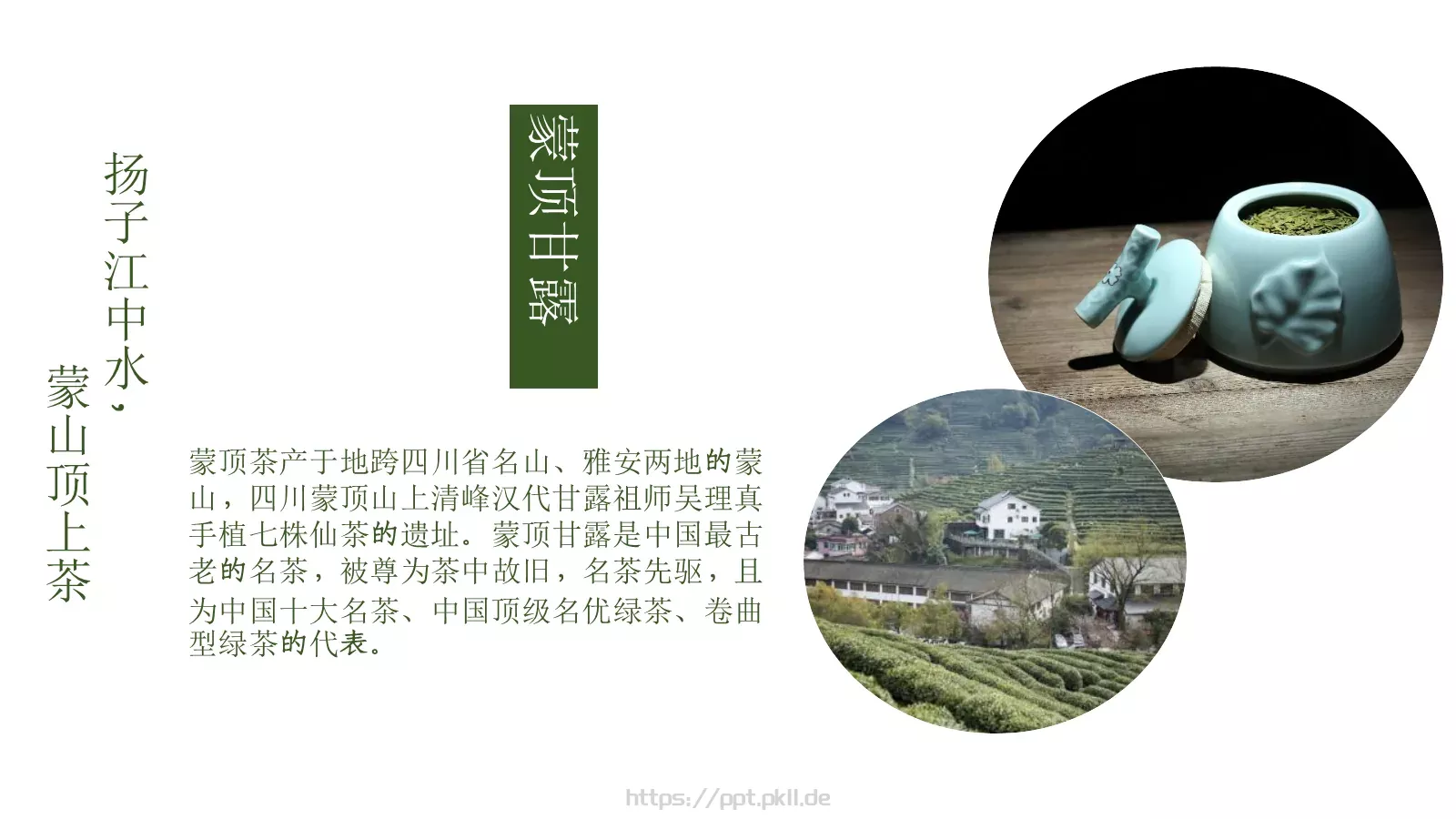 茶文化产品介绍画册PPT模板 第 10 页预览图