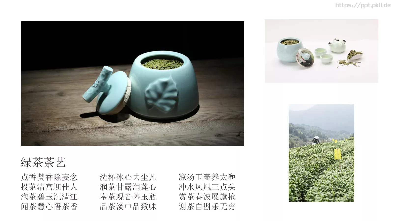 茶文化产品介绍画册PPT模板 第 13 页预览图