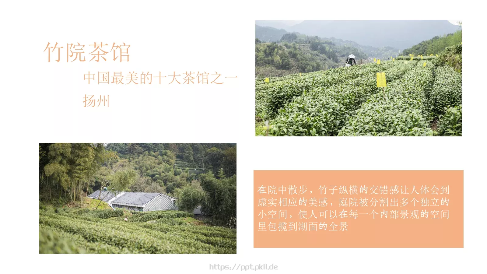 茶文化产品介绍画册PPT模板 第 16 页预览图