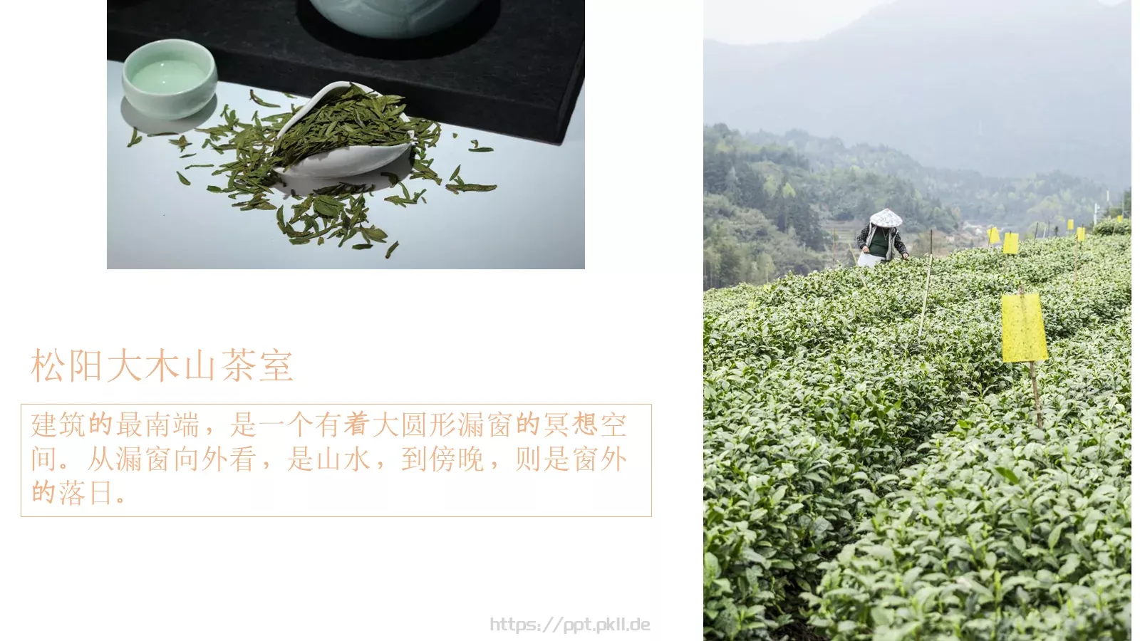 茶文化产品介绍画册PPT模板 第 18 页预览图
