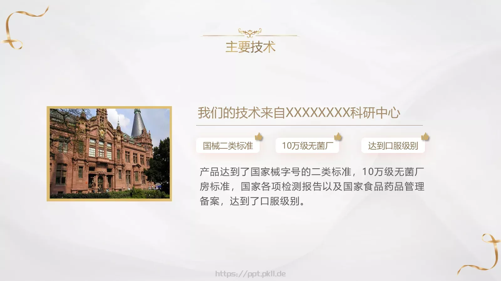 美妆美容通用PPT模板 第 13 页预览图
