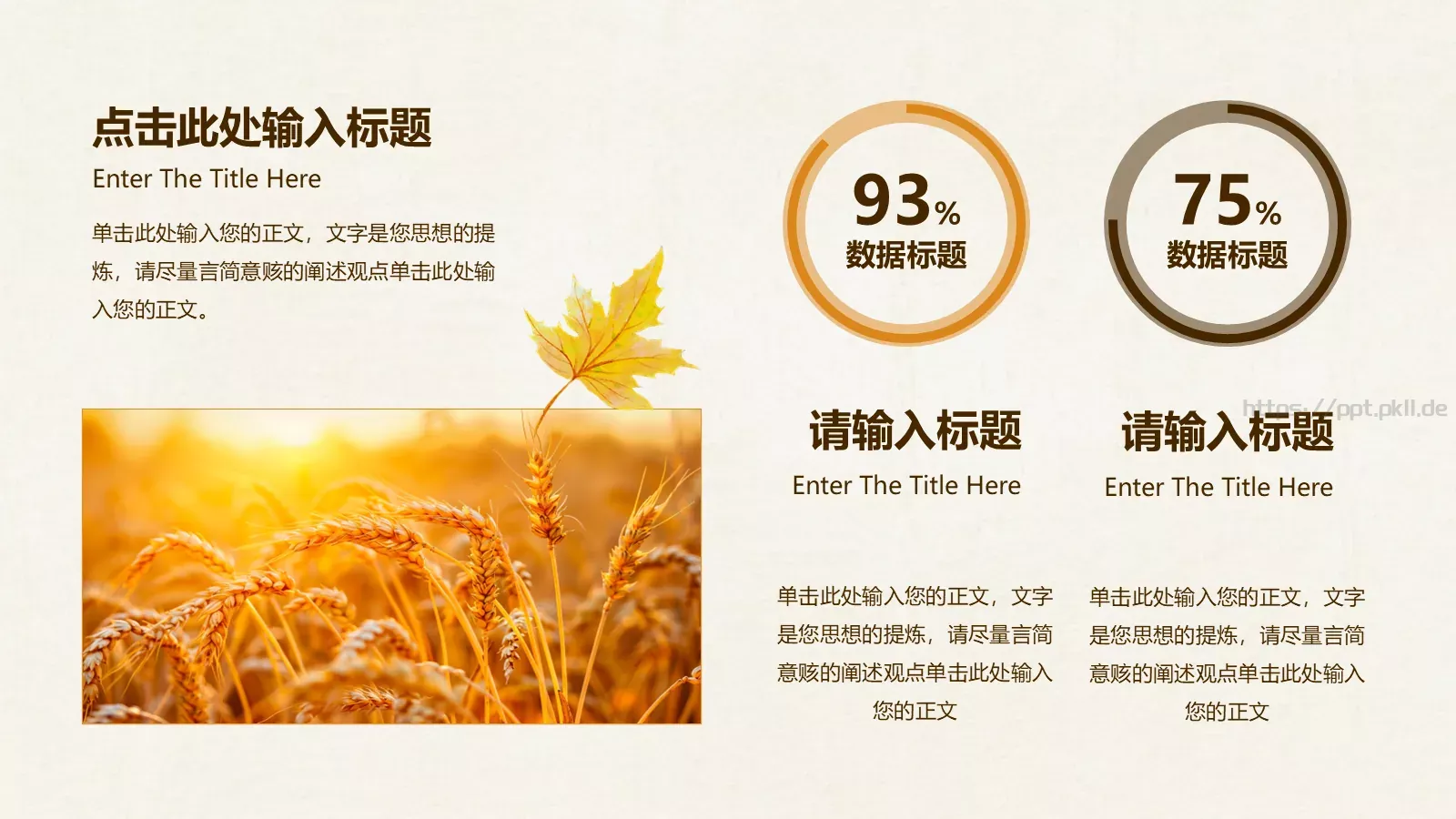 一叶知秋计划总结PPT模板 第 19 页预览图