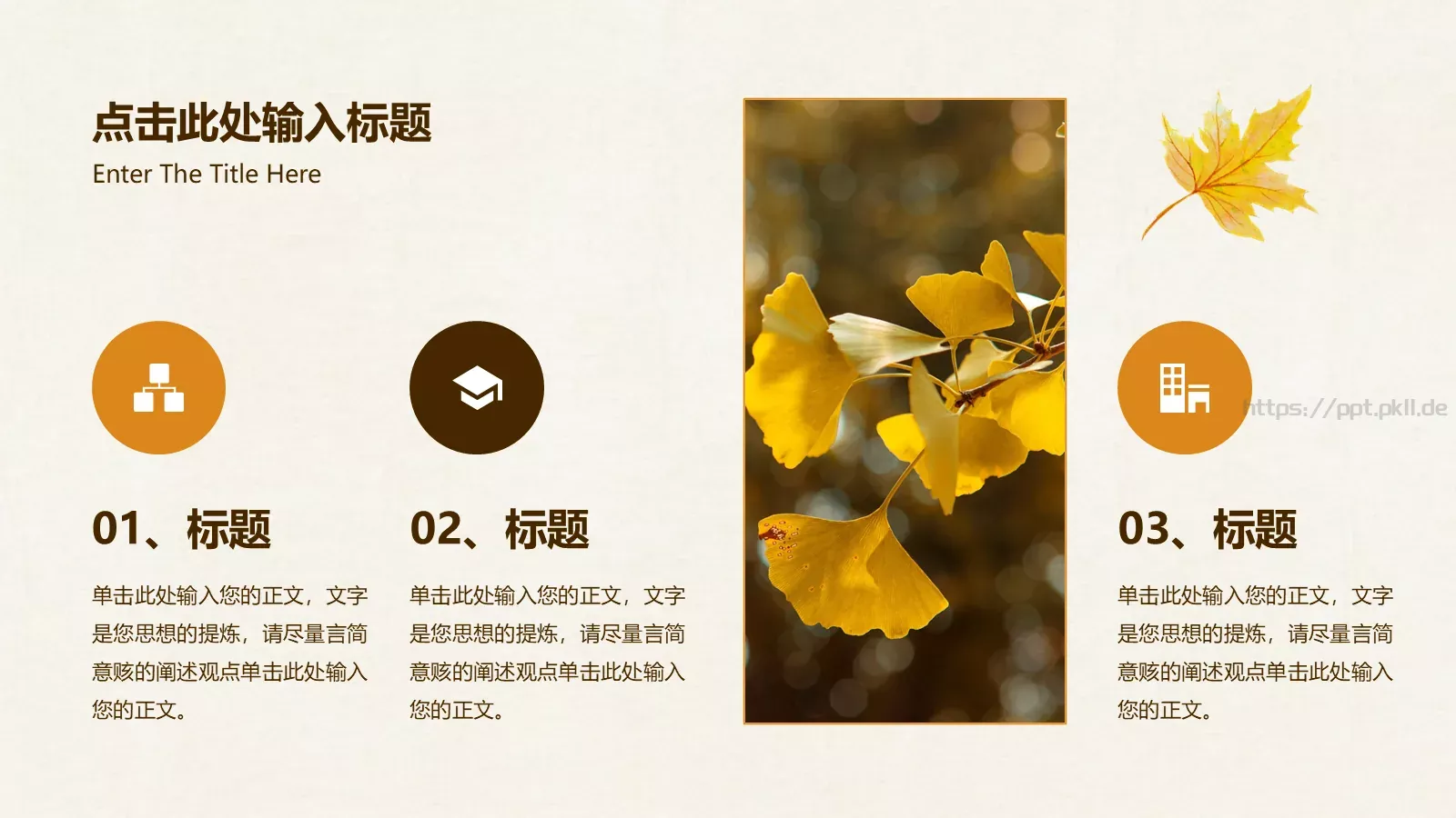 一叶知秋计划总结PPT模板 第 22 页预览图