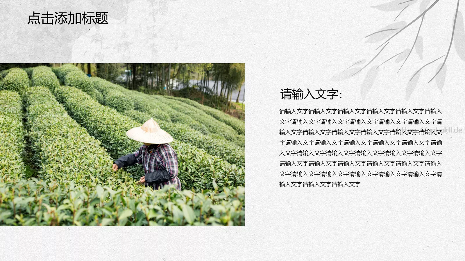 中国风茶文化主题PPT模板 第 11 页预览图