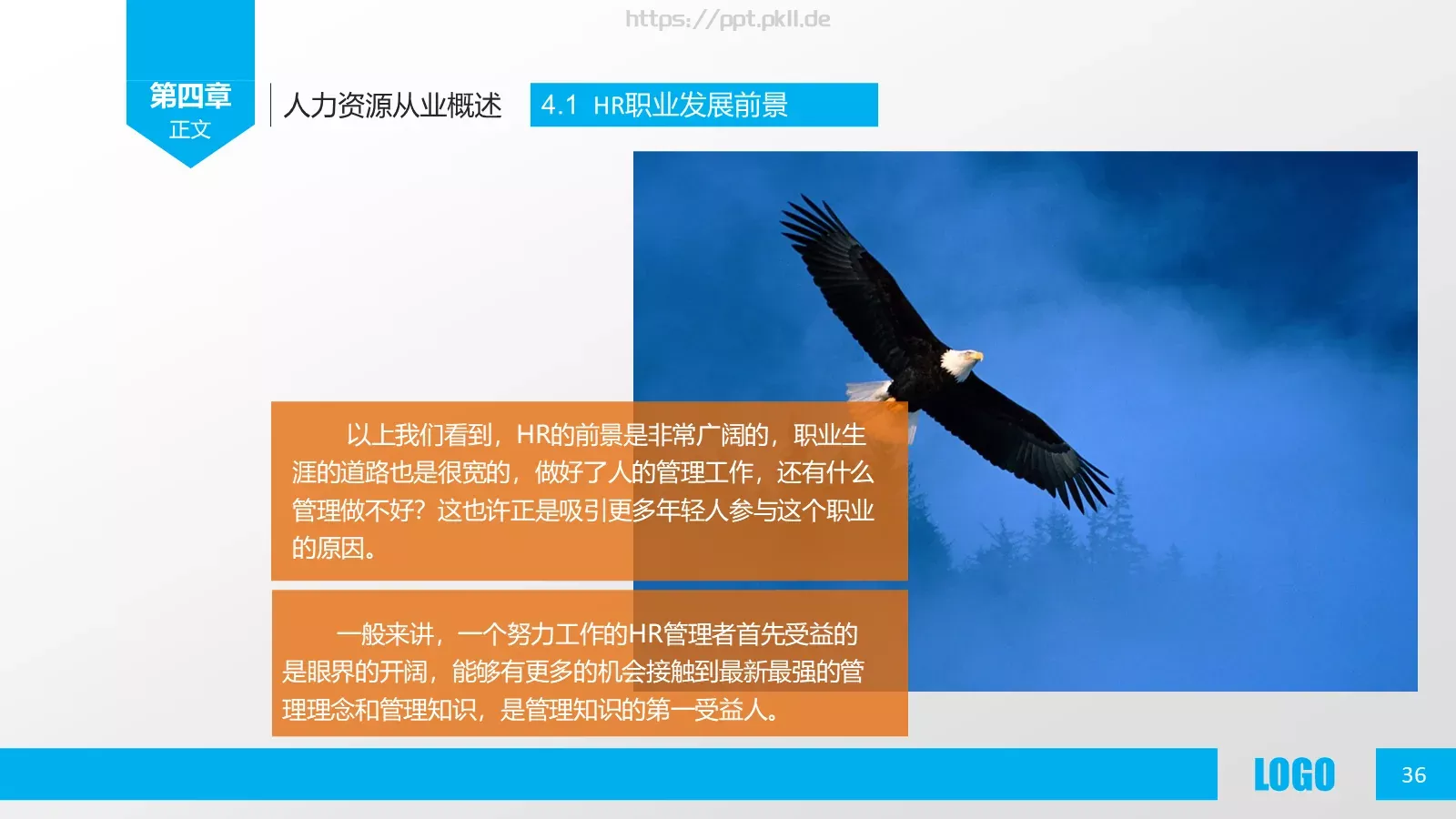 人力资源概述PPT模板 第 36 页预览图