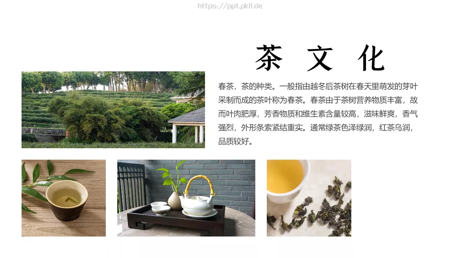 中国传统茶文化品茶之道春茶画册PPT模板 第 7 页预览图