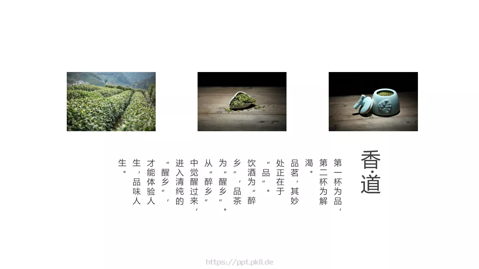 中国传统茶文化品茶之道春茶画册PPT模板 第 12 页预览图