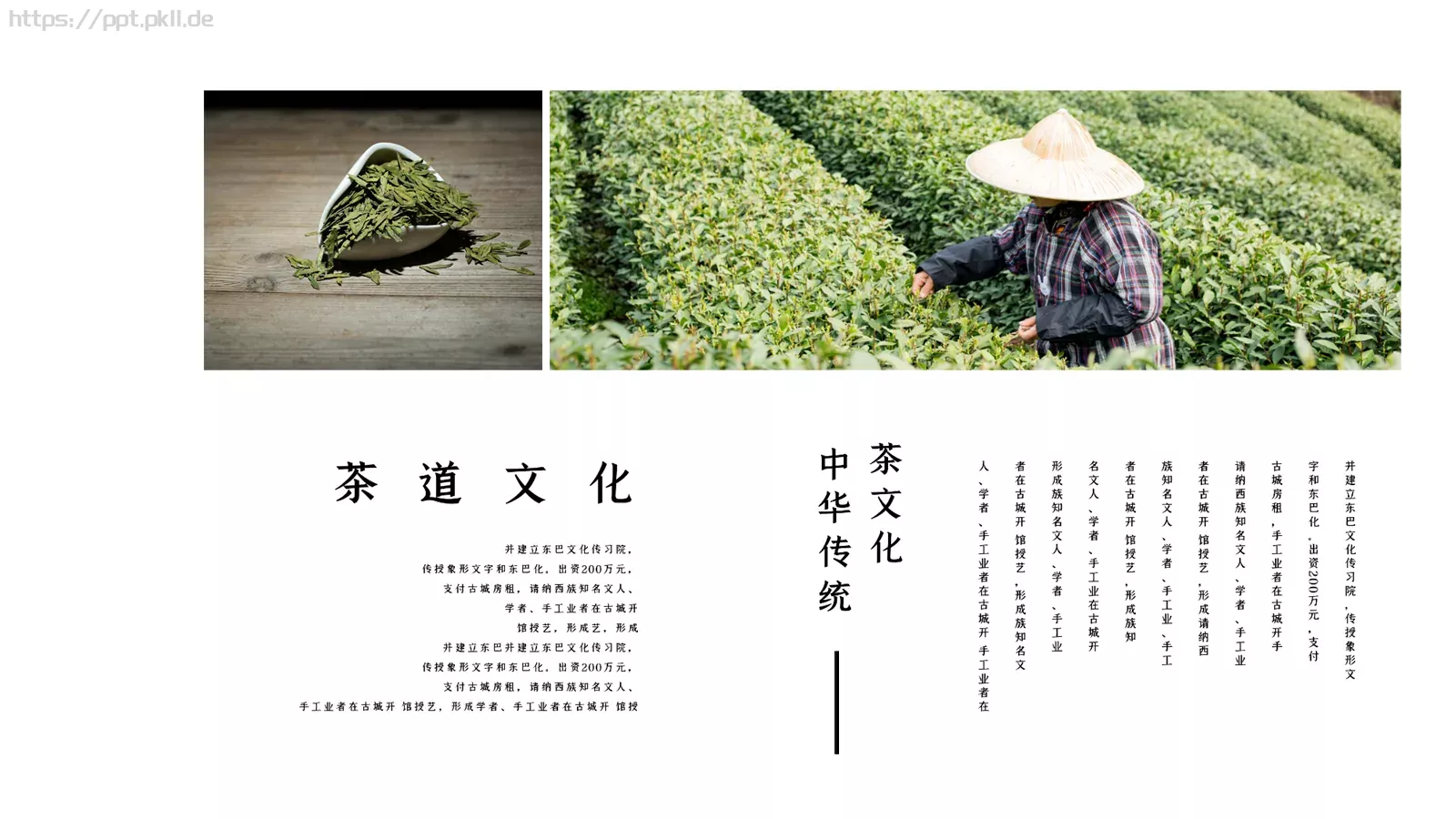 中国传统茶文化品茶之道春茶画册PPT模板 第 10 页预览图