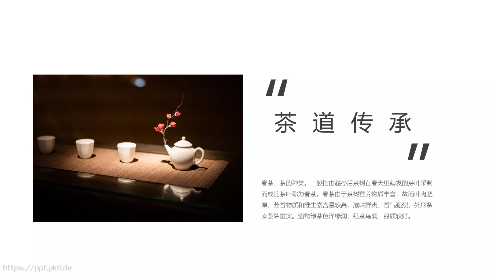 中国传统茶文化品茶之道春茶画册PPT模板 第 17 页预览图