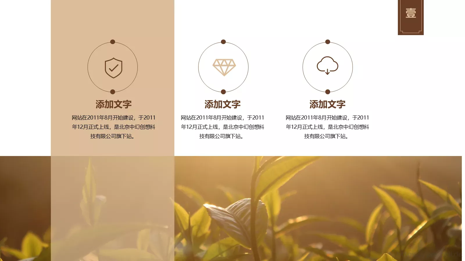 通用模板文化 第 5 页预览图