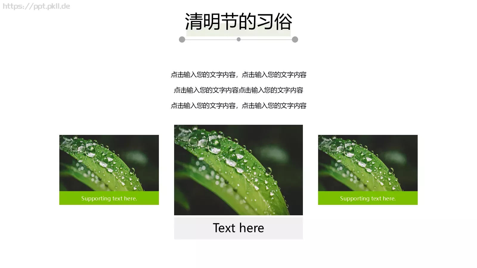 清明节中国风通用PPT模板 第 9 页预览图