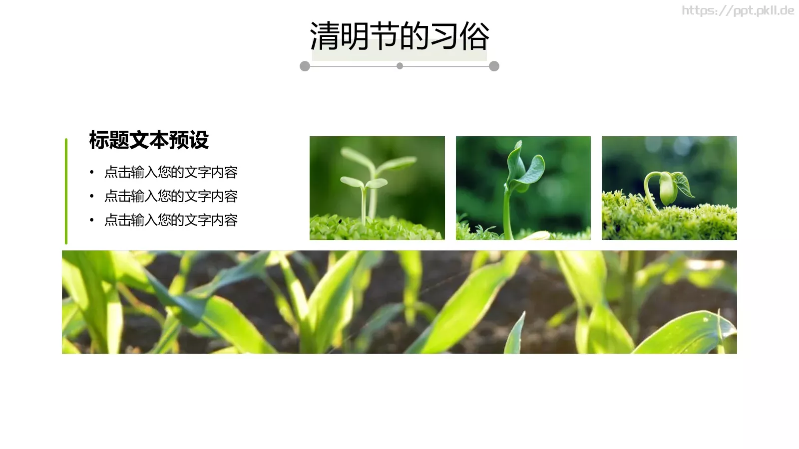 清明节中国风通用PPT模板 第 11 页预览图