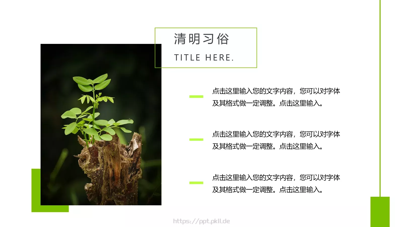 清明节中国风通用PPT模板 第 12 页预览图