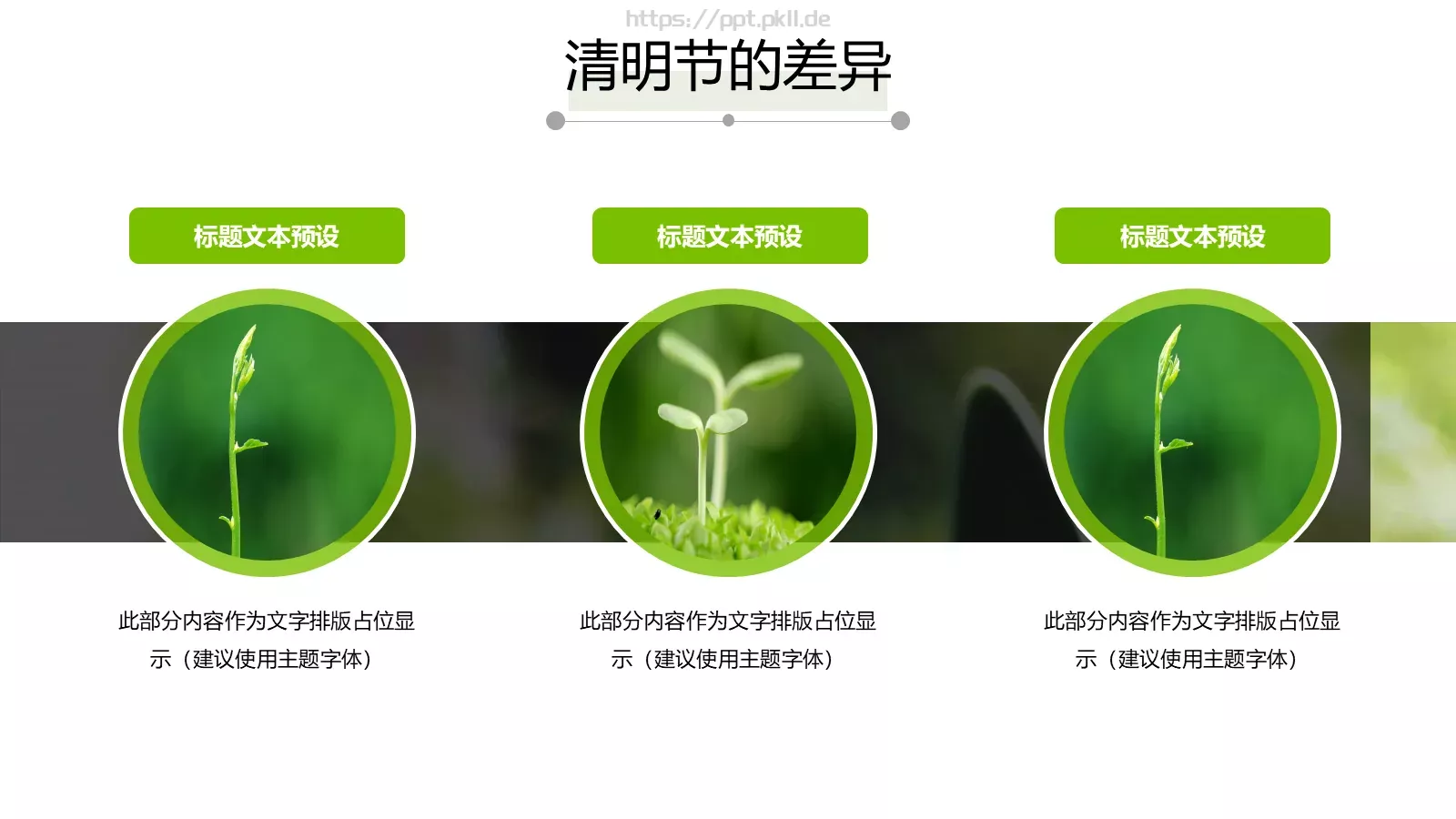 清明节中国风通用PPT模板 第 15 页预览图