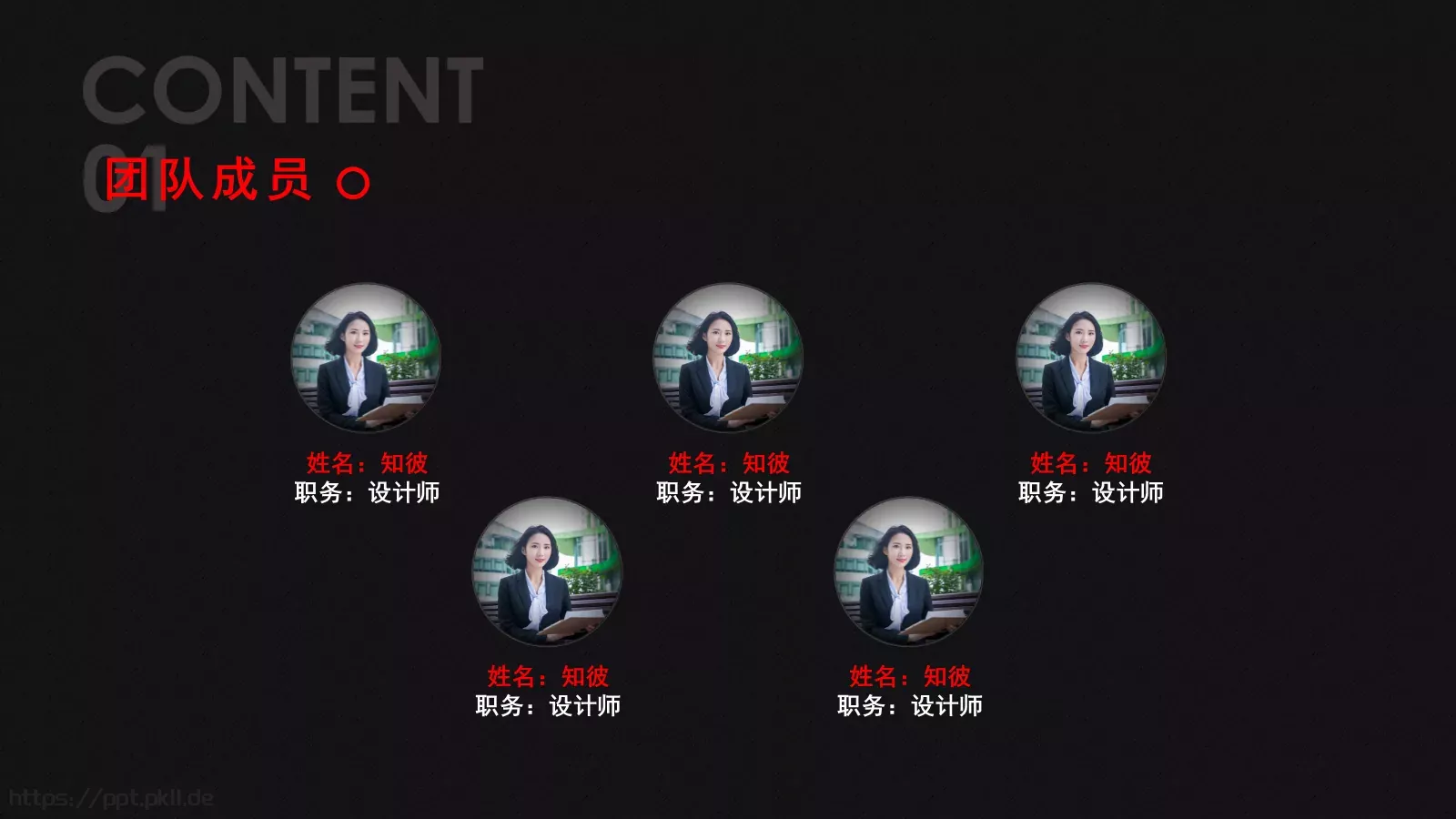 项目计划书PPT模板 第 17 页预览图