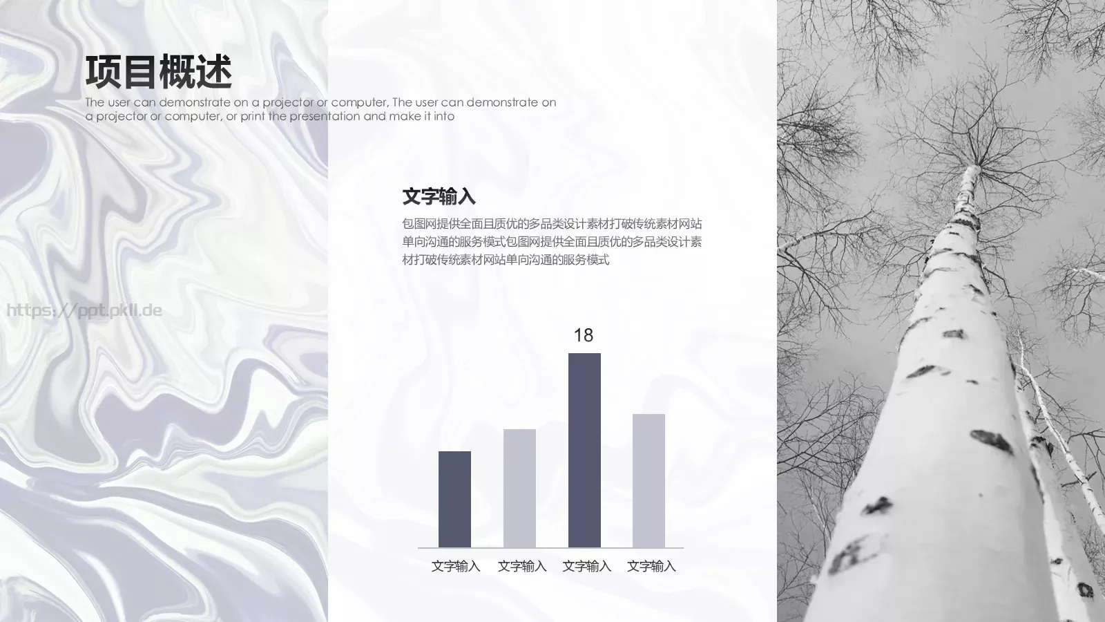 商业计划书PPT模板 第 5 页预览图